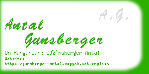 antal gunsberger business card